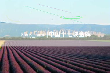 汕尾中国十七块金牌