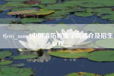 汕尾中国消防救援学院简介及招生章程