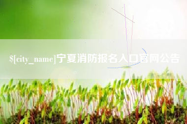 汕尾宁夏消防报名入口官网公告