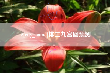 汕尾排三九宫图预测