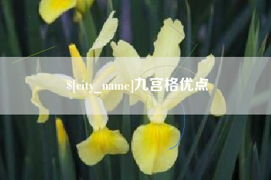 汕尾九宫格优点