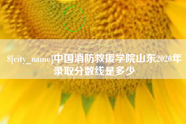 汕尾中国消防救援学院山东2020年录取分数线是多少
