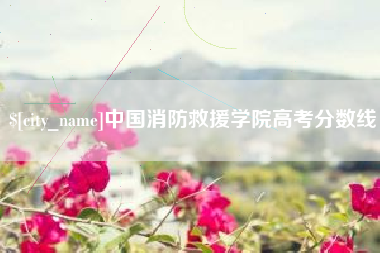 汕尾中国消防救援学院高考分数线