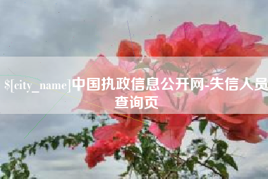 汕尾中国执政信息公开网-失信人员查询页
