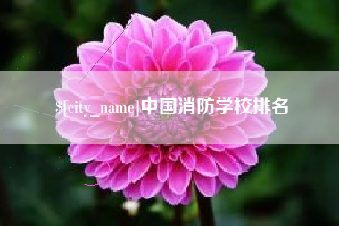 汕尾中国消防学校排名