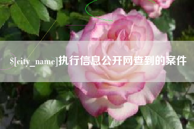 汕尾执行信息公开网查到的案件