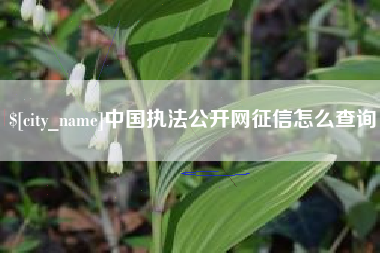 汕尾中国执法公开网征信怎么查询