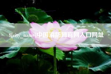 汕尾中国消防网官网入口网址
