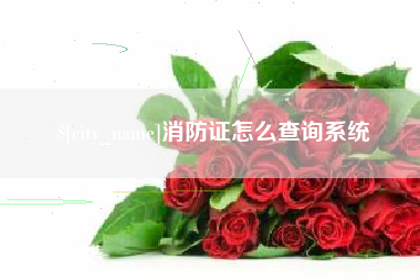 汕尾消防证怎么查询系统