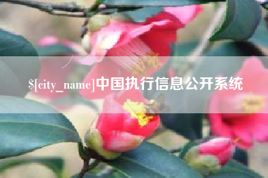汕尾中国执行信息公开系统