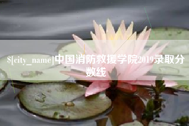 汕尾中国消防救援学院2019录取分数线