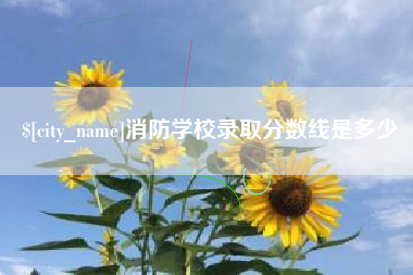 汕尾消防学校录取分数线是多少