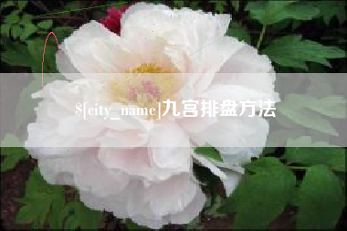 汕尾九宫排盘方法