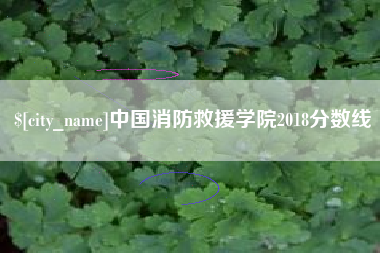 汕尾中国消防救援学院2018分数线