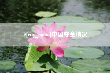 汕尾中国夺金情况