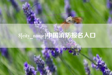 汕尾中国消防报名入口