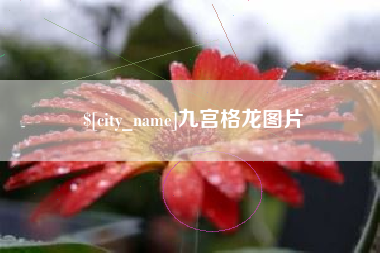 汕尾九宫格龙图片