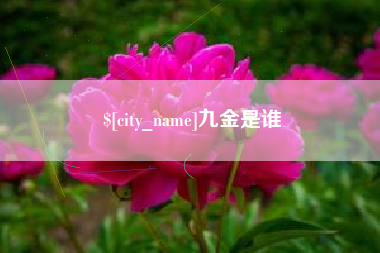 汕尾九金是谁