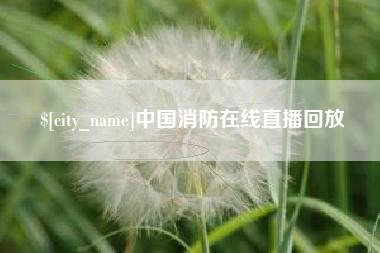汕尾中国消防在线直播回放
