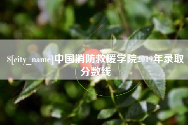 汕尾中国消防救援学院2019年录取分数线