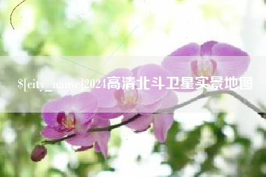 汕尾2024高清北斗卫星实景地图