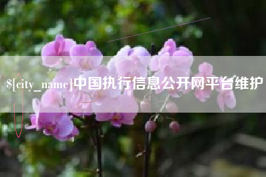 汕尾中国执行信息公开网平台维护