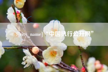 汕尾“中国执行公开网”