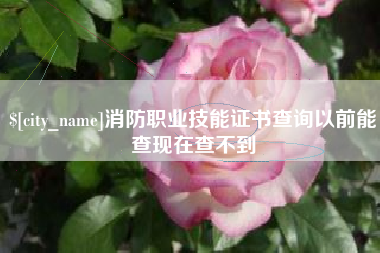 汕尾消防职业技能证书查询以前能查现在查不到