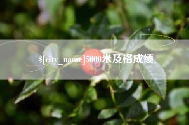 汕尾5000米及格成绩