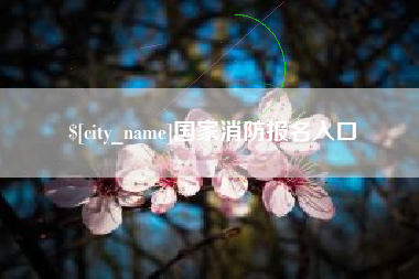 汕尾国家消防报名入口