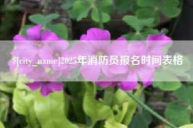汕尾2025年消防员报名时间表格