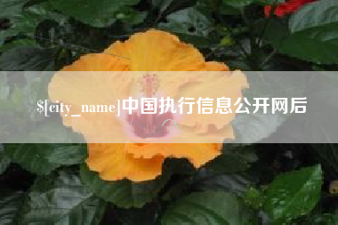 汕尾中国执行信息公开网后