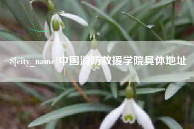 汕尾中国消防救援学院具体地址