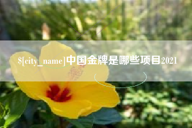 汕尾中国金牌是哪些项目2021