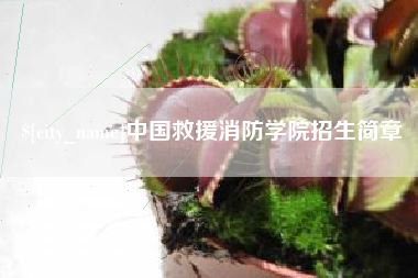 汕尾中国救援消防学院招生简章