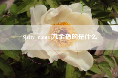汕尾九金指的是什么