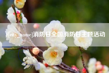汕尾消防日全国消防日主题活动