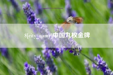 汕尾中国九枚金牌
