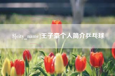 汕尾王子豪个人简介乒乓球