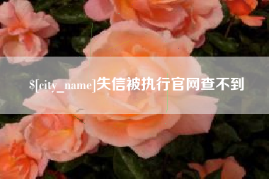 汕尾失信被执行官网查不到