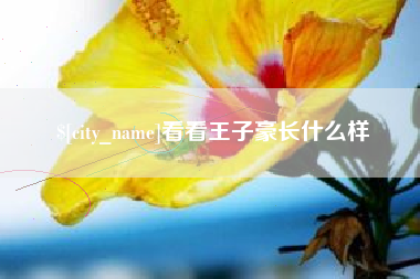 汕尾看看王子豪长什么样