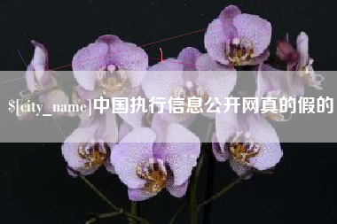 汕尾中国执行信息公开网真的假的