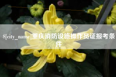汕尾重庆消防设施操作员证报考条件