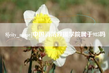 汕尾中国消防救援学院属于985吗