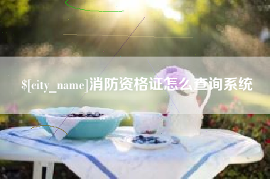 汕尾消防资格证怎么查询系统