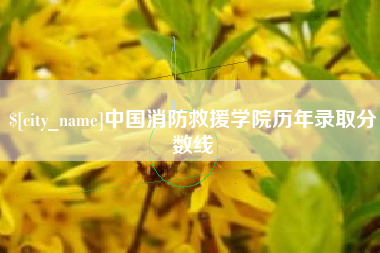 汕尾中国消防救援学院历年录取分数线