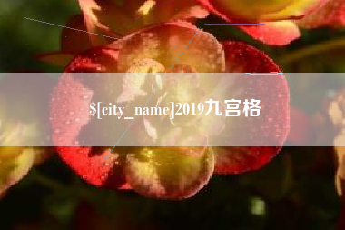 汕尾2019九宫格