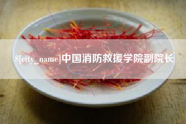汕尾中国消防救援学院副院长
