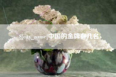 汕尾中国的金牌有几名