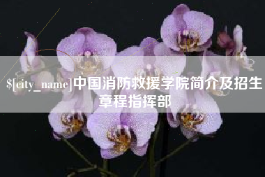 汕尾中国消防救援学院简介及招生章程指挥部